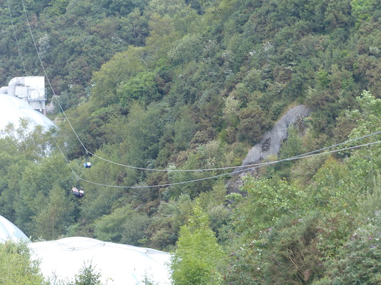 P1070403 (08-14-2017 11:08)