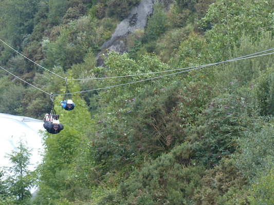 P1070404 (08-14-2017 11:09)