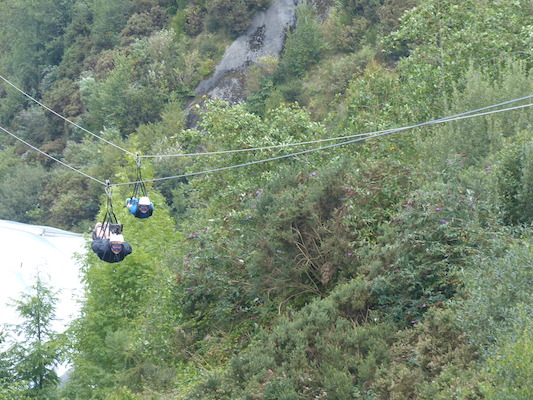 P1070405 (08-14-2017 11:09)