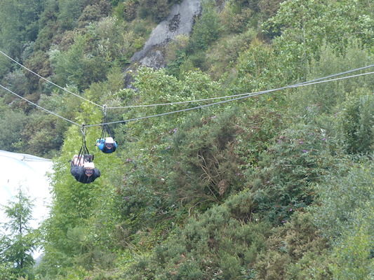 P1070407 (08-14-2017 11:09)