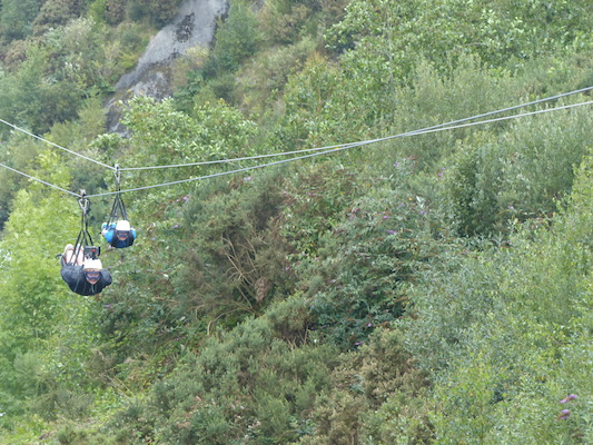 P1070410 (08-14-2017 11:09)