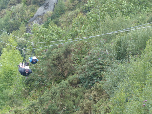 P1070411 (08-14-2017 11:09)