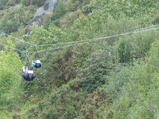 P1070412 (08-14-2017 11:09)