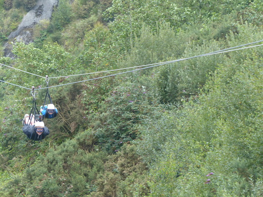 P1070415 (08-14-2017 11:09)