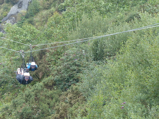 P1070416 (08-14-2017 11:09)