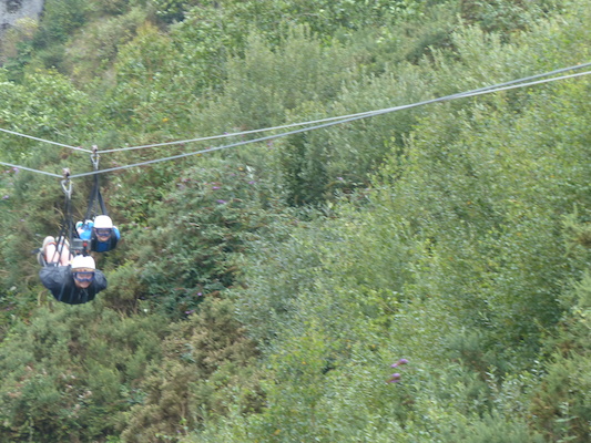 P1070418 (08-14-2017 11:09)