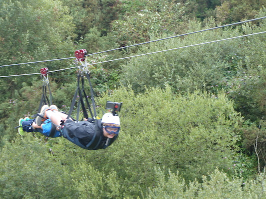 P1070422 (08-14-2017 11:09)