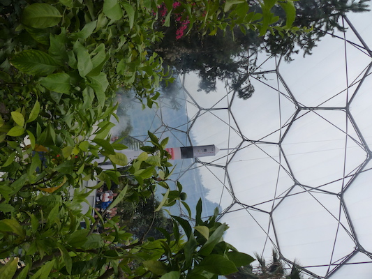 P1070427 (08-14-2017 12:53)