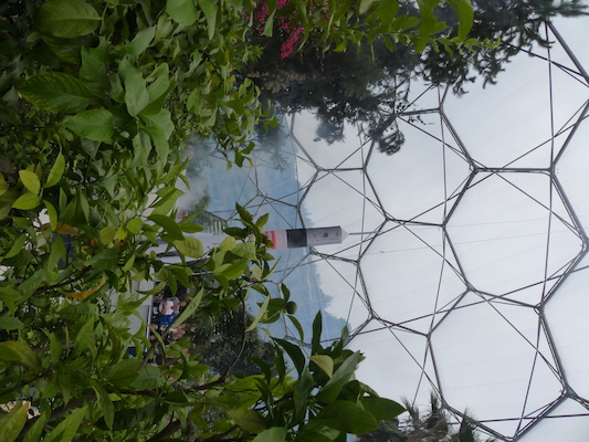 P1070428 (08-14-2017 12:53)