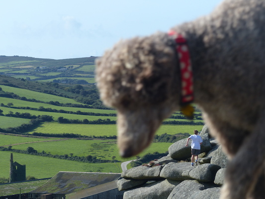 P1070435 (08-15-2017 17:10)