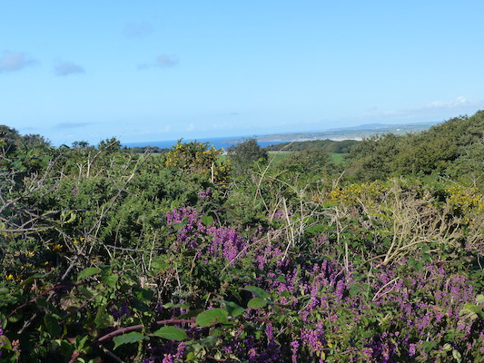 P1070447 (08-15-2017 17:34)