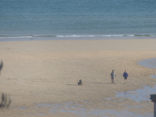 P1070448 (08-16-2017 08:17)