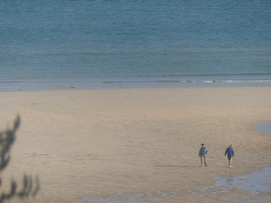 P1070449 (08-16-2017 08:17)