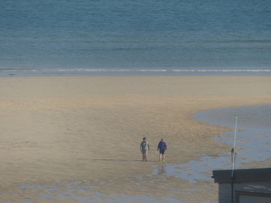 P1070450 (08-16-2017 08:17)