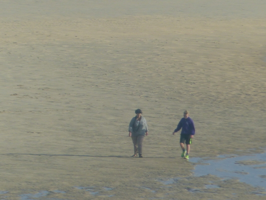 P1070451 (08-16-2017 08:17)