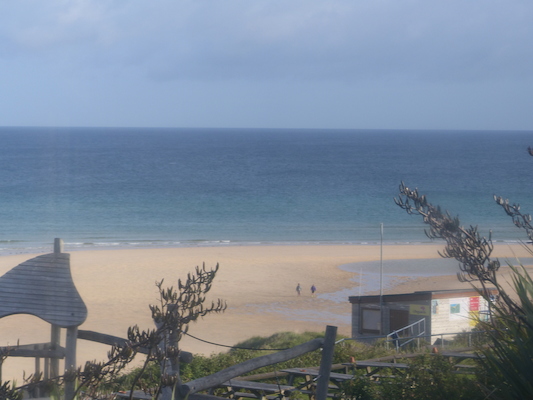 P1070452 (08-16-2017 08:17)