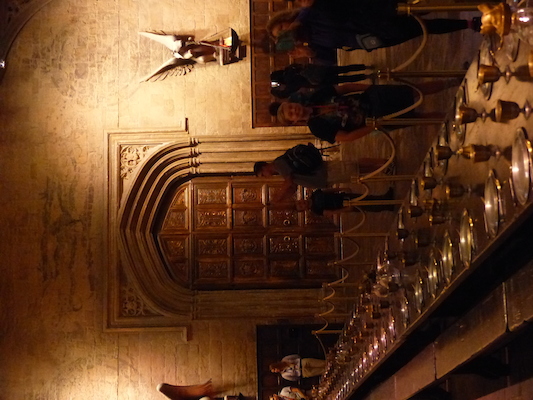 P1070457 (08-21-2017 11:03)