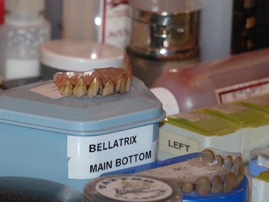 P1070467 (08-21-2017 11:17)