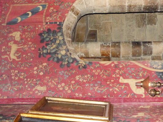 P1070493 (08-21-2017 11:35)