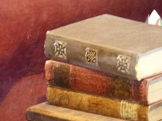 P1070500 (08-21-2017 11:36)