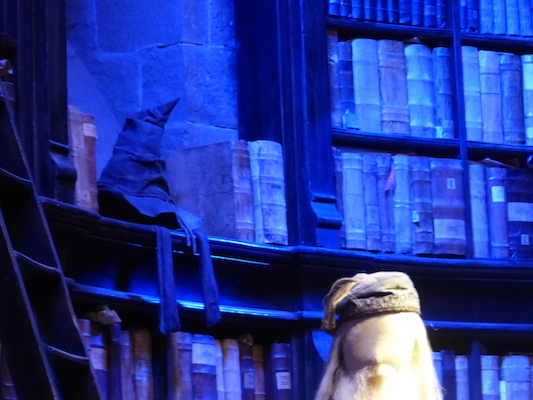 P1070506 (08-21-2017 11:38)