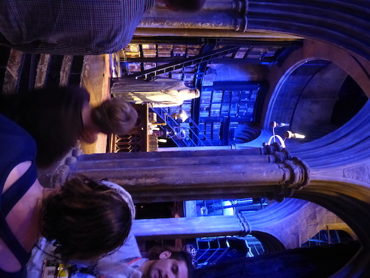 P1070512 (08-21-2017 11:39)