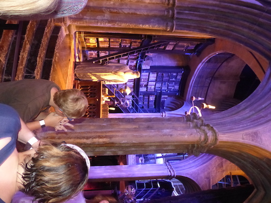 P1070513 (08-21-2017 11:39)