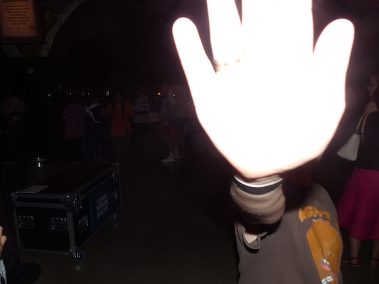 P1070532 (08-21-2017 11:43)