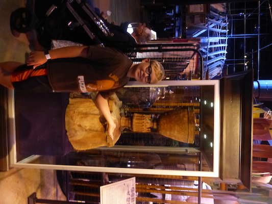 P1070535 (08-21-2017 11:44)