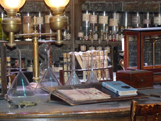 P1070543 (08-21-2017 11:46)