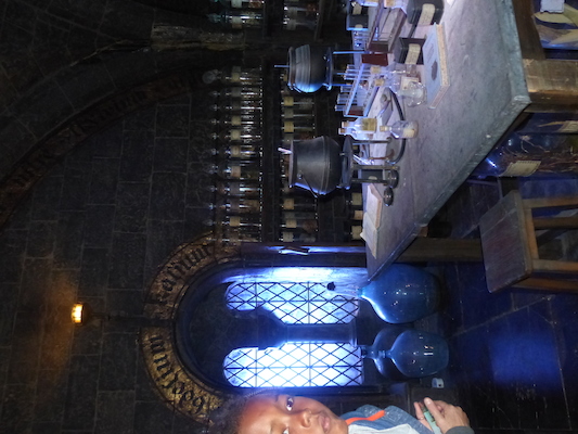 P1070547 (08-21-2017 11:47)