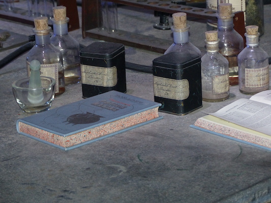 P1070548 (08-21-2017 11:47)