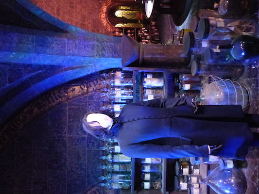 P1070551 (08-21-2017 11:48)