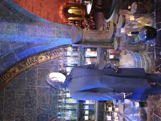 P1070552 (08-21-2017 11:48)