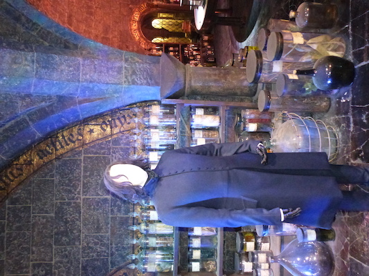 P1070553 (08-21-2017 11:48)