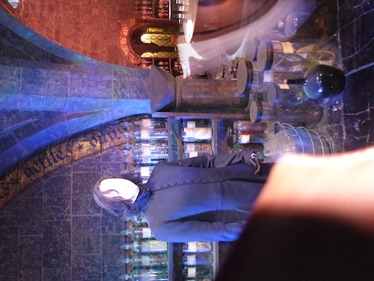 P1070555 (08-21-2017 11:48)