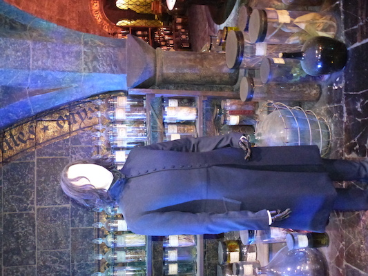 P1070556 (08-21-2017 11:49)