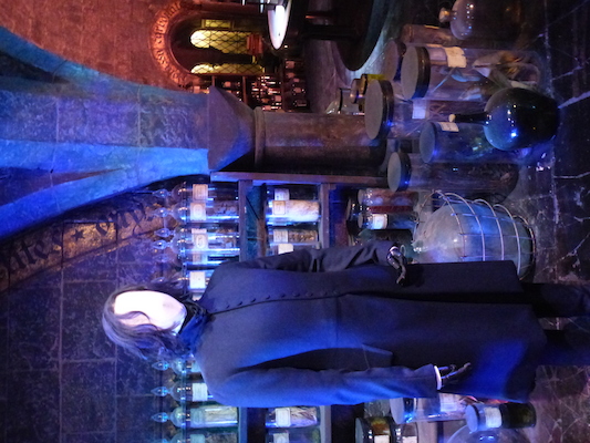 P1070558 (08-21-2017 11:49)