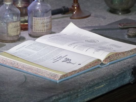 P1070560 (08-21-2017 11:50)