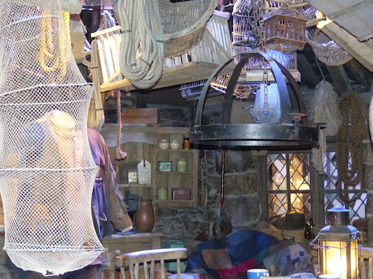 P1070561 (08-21-2017 11:52)