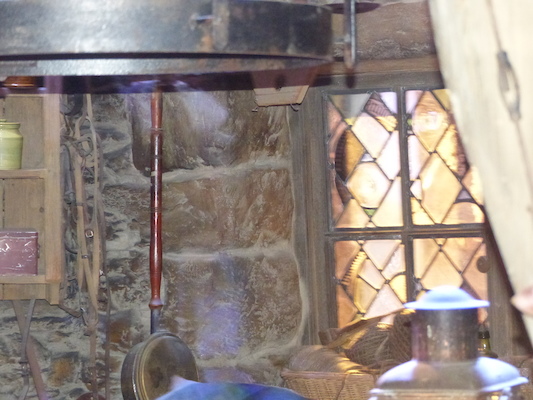 P1070564 (08-21-2017 11:53)