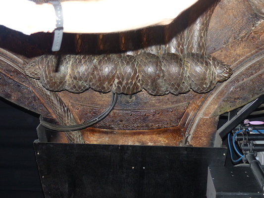 P1070574 (08-21-2017 11:58)