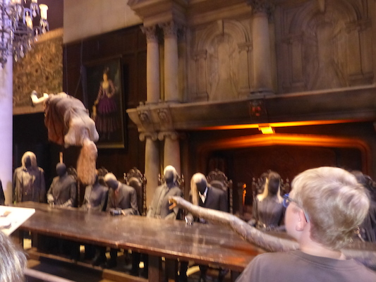 P1070590 (08-21-2017 12:04)