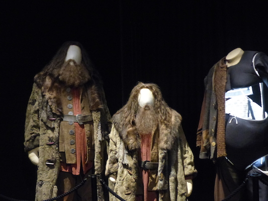 P1070616 (08-21-2017 12:11)