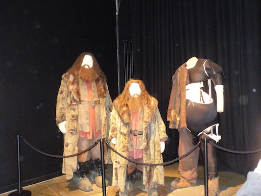 P1070617 (08-21-2017 12:11)