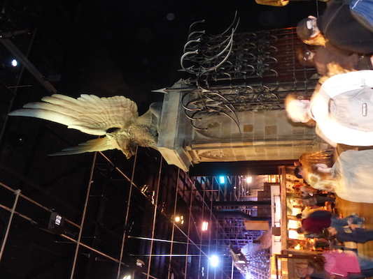 P1070620 (08-21-2017 12:11)