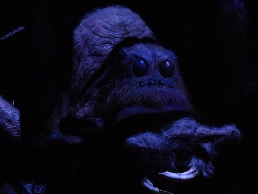 P1070625 (08-21-2017 12:14)