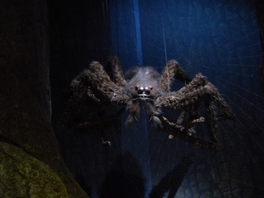 P1070626 (08-21-2017 12:15)