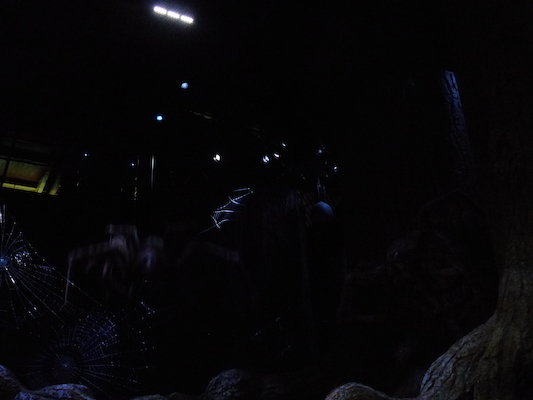 P1070627 (08-21-2017 12:15)