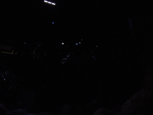 P1070628 (08-21-2017 12:15)